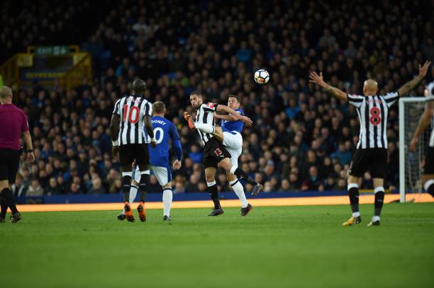 本乒乓球在 本乒乓球在