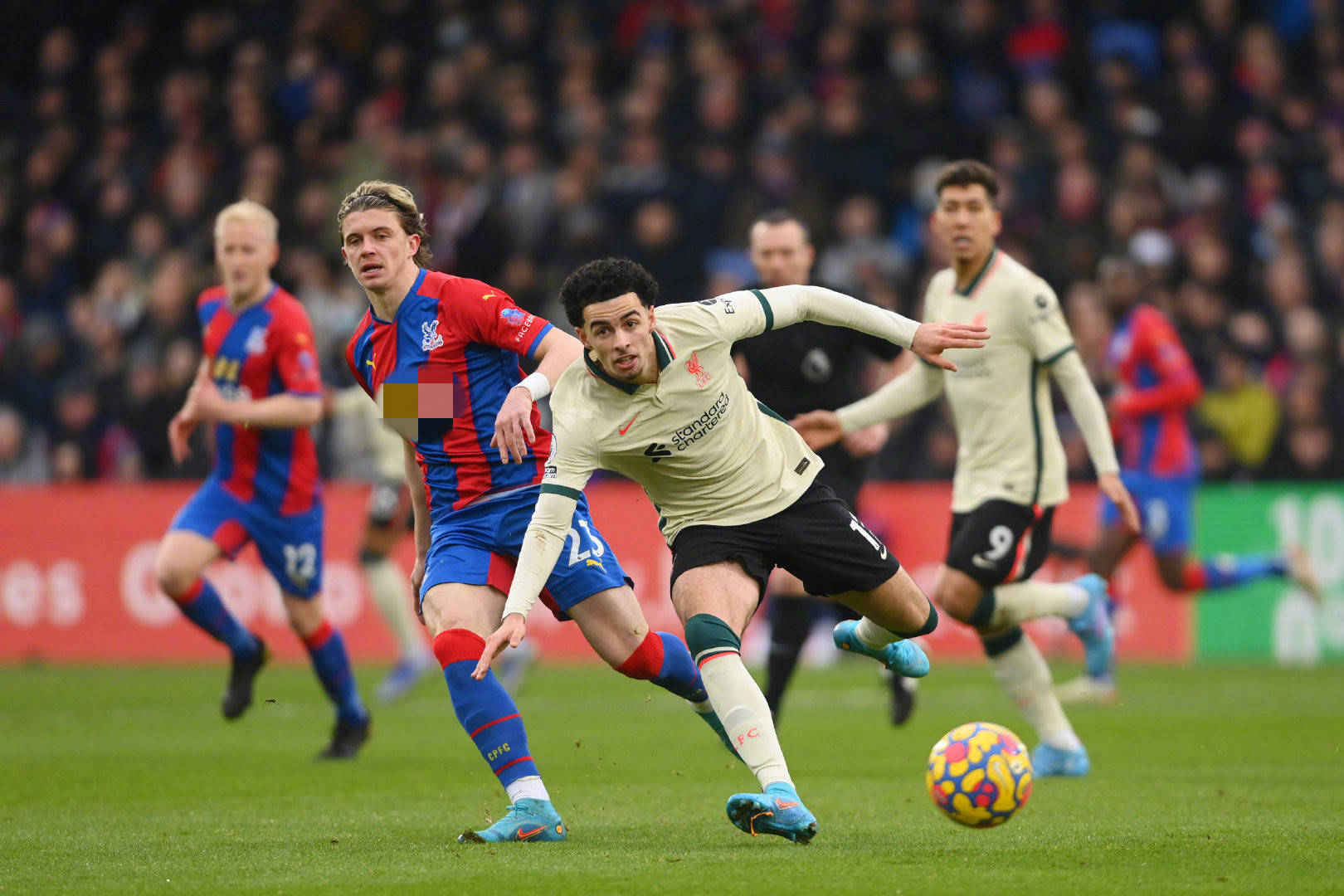 胜率高达 胜率高达