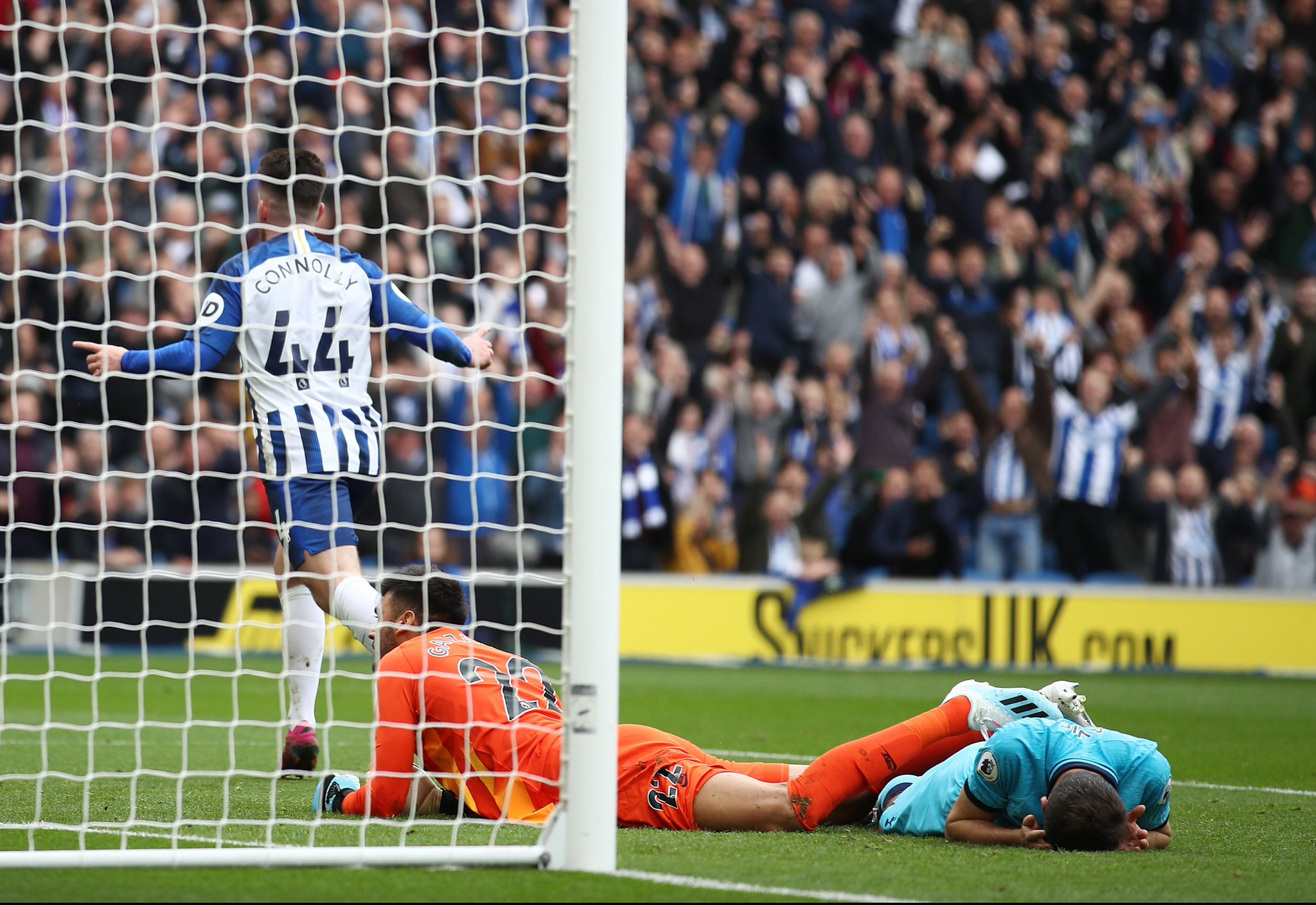 的团队支持 的团队支持