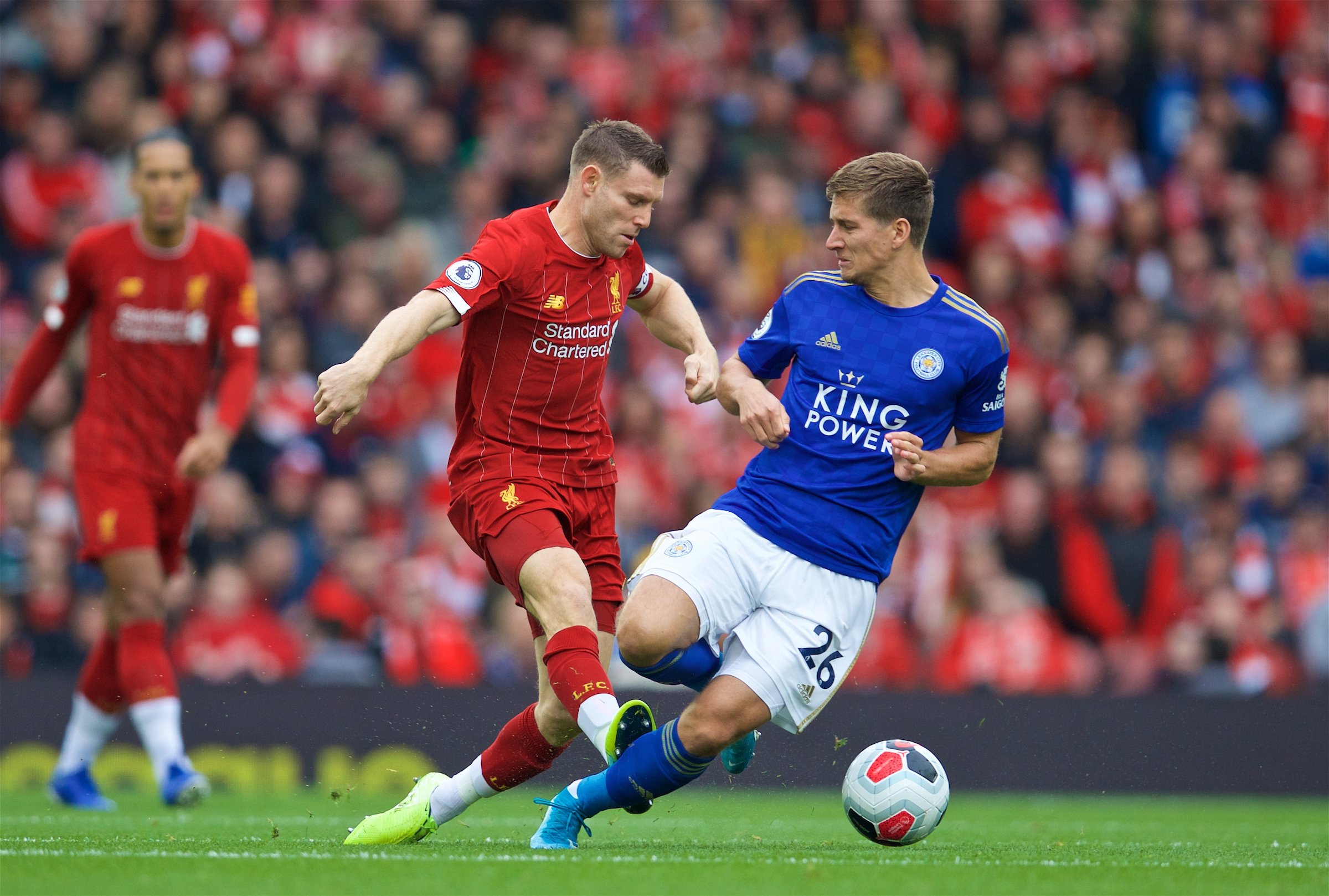 仅展示了英 仅展示了英